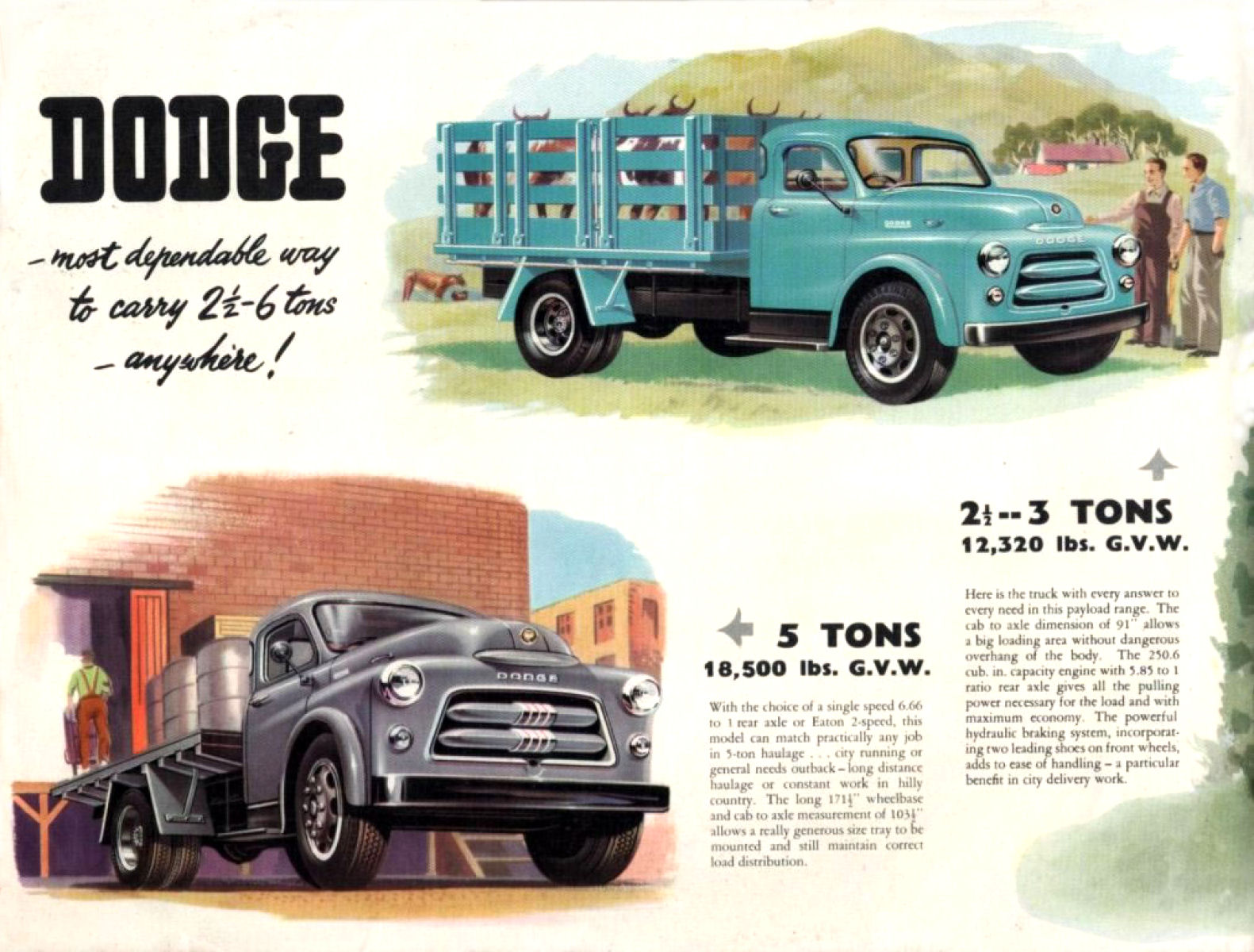 1955_Dodge_Trucks_Aus-04