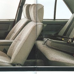 1987_Ford_Falcon-06-07