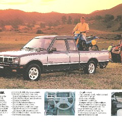 1985_Holden_Rodeo_Utilities-06