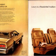 1974 Ford Thunderbird Canada  04-05