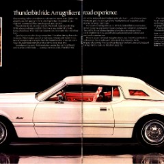 1974 Ford Thunderbird Canada 02-03