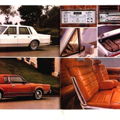 1981_Lincoln__Continental_Mk_VI_Cdn-22-23