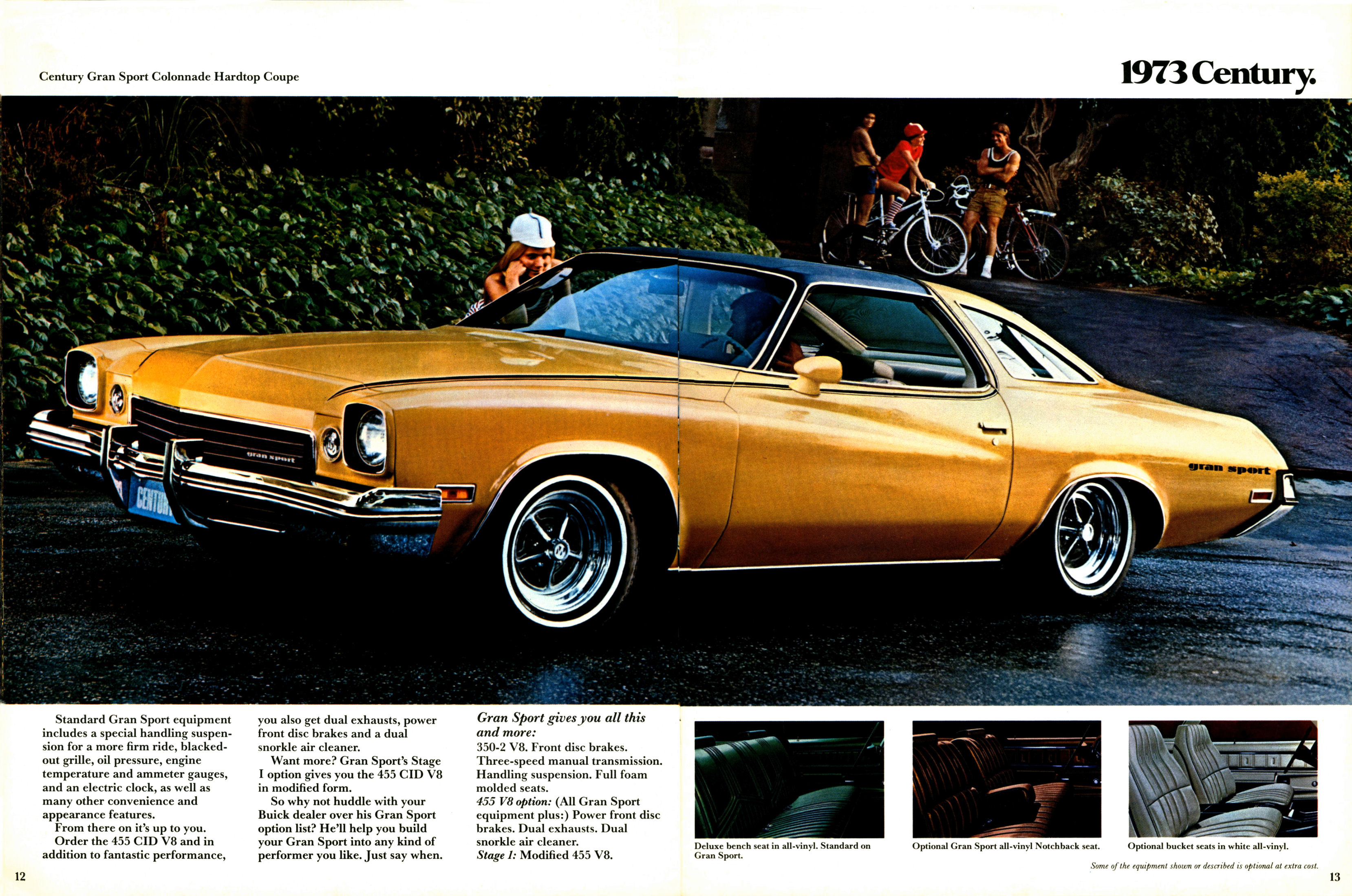 1973_Buick_Century_Cdn-12-13