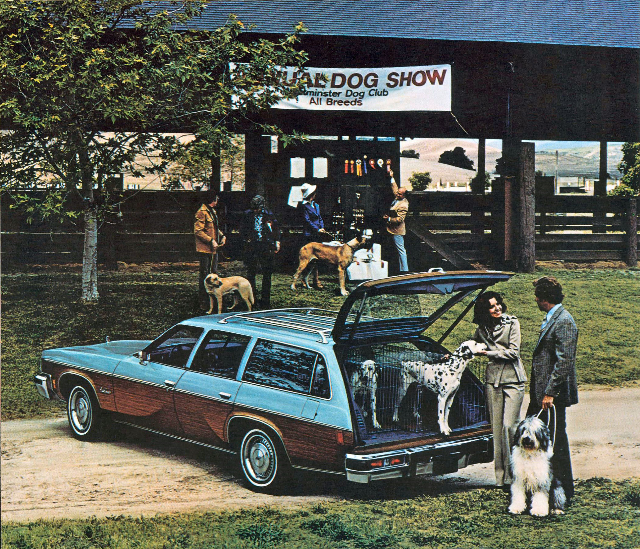 1977_Oldsmobile_Cutlass__Omega_Cdn-14
