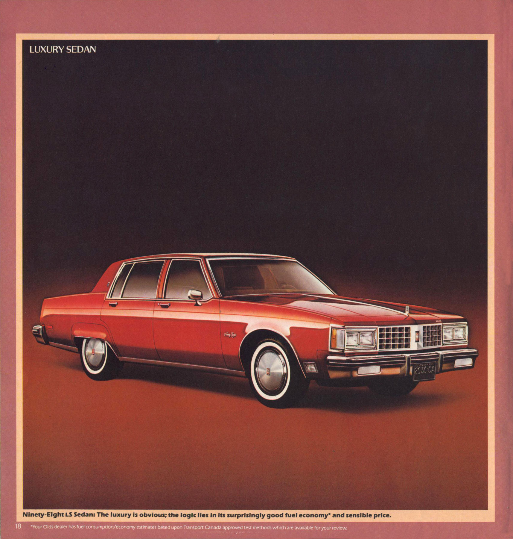 1980_Oldsmobile_Full_Size_Cdn-18