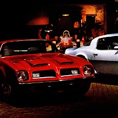 1975_Pontiac_Firebird_Cdn-Side_B