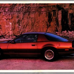 1985_Pontiac_Firebird_Cdn-04-05