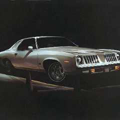 1974_Pontiac_LeMans__Grand_Am_Cdn-12