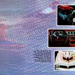1976 Pontiac Firebird-Grand Prix Cdn page_03