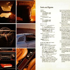 1977_Pontiac_Lemans_Cdn-10-11