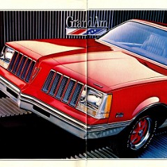 1978_Pontiac_LeMans_Cdn-02-03