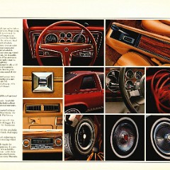 1978_Pontiac_Phoenix_Cdn-04