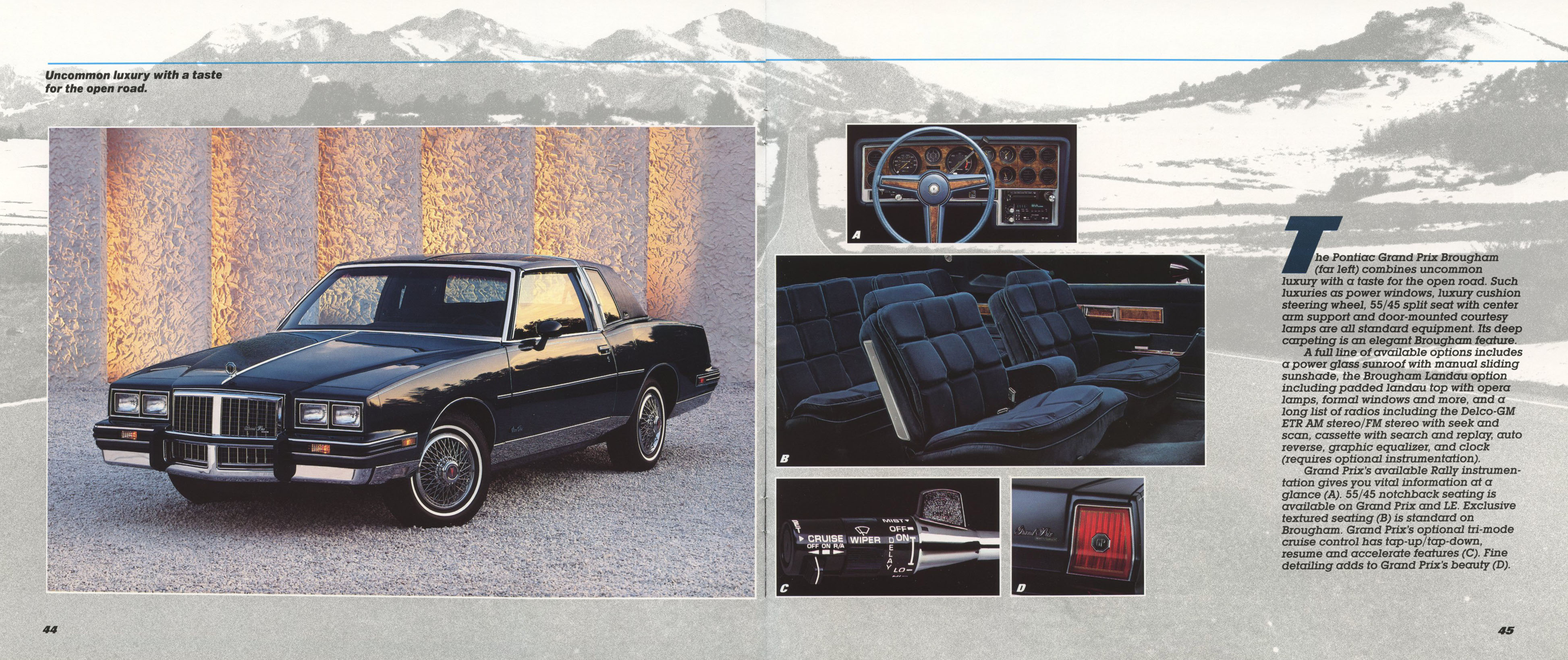 1985 Pontiac Full Line Prestige-44-45