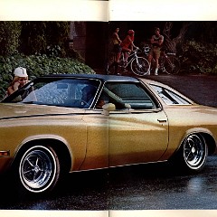 1973 Buick Full Line Brochure 06-07