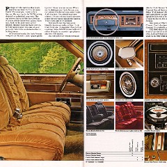1980 Buick Full Line Prestige-16-17