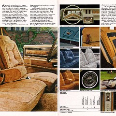 1980 Buick Full Line Prestige-28-29