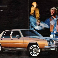 1982 Buick Full Line Prestige-16-17