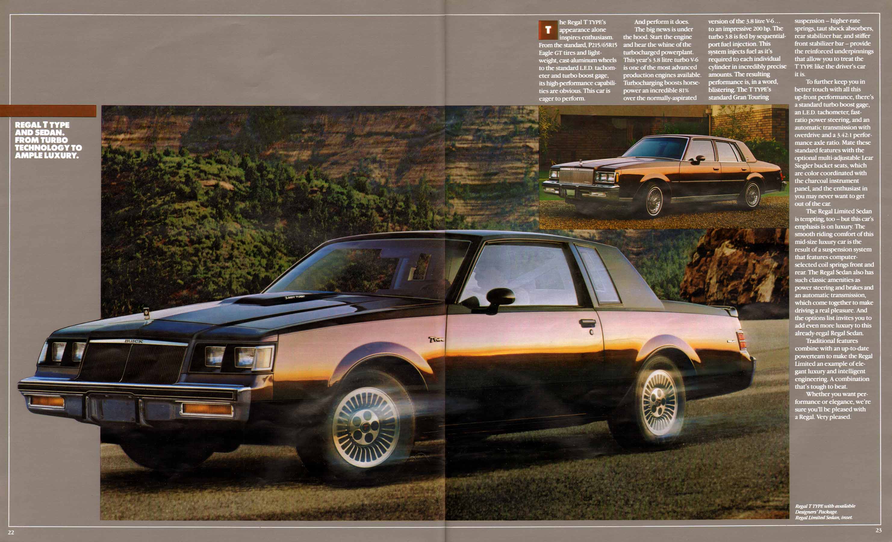 1984 Buick Full Line Prestige-22-23