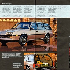 1985 The Art of Buick-42-43