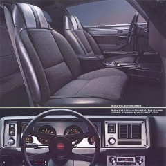 1981_Chevrolet_Camaro-08