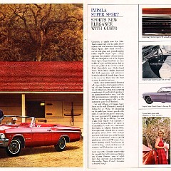 1965_Chevrolet_Full_Size-04-05