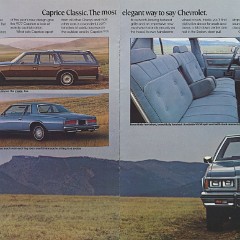 1977_Chevrolet_Full_Size-14-15