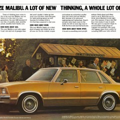 1978_Chevrolet_Malibu-02-03