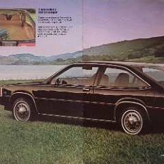1981_Chevrolet_Citation-0607