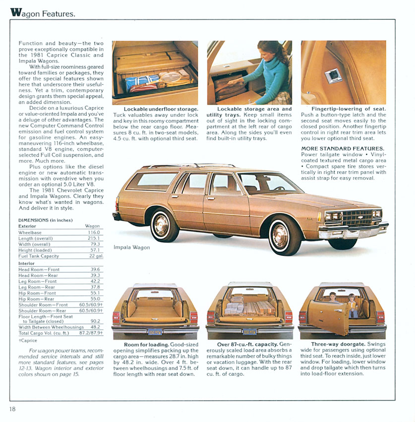 1981_Chevrolet_Full_Size-14