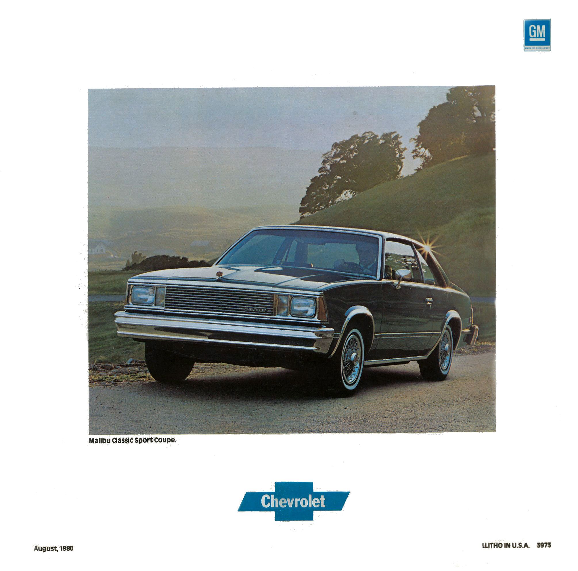 1981_Chevrolet_Malibu-20