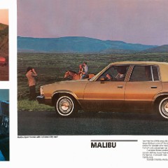 1981_Chevrolet_Malibu-10-11