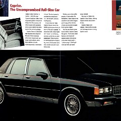 1986 Chevrolet Full Line-20-21