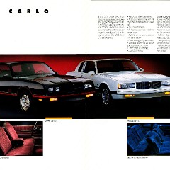 1988_Chevrolet_Monte_Carlo-02-03