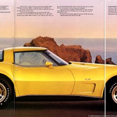 1979_Chevrolet_Corvette-02