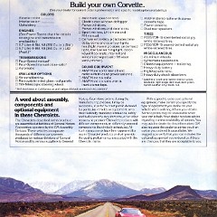 1979_Chevrolet_Corvette-05