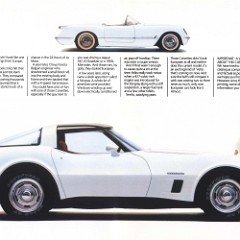 1982_Chevrolet_Corvette-02-03