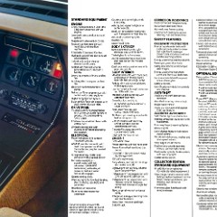 1982_Chevrolet_Corvette-14-15