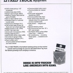 1979_Dodge_LRT_Express-02