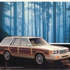 1988 Chrysler-21