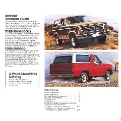 1984 Ford Bronco-03