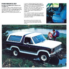 1984 Ford Bronco-08