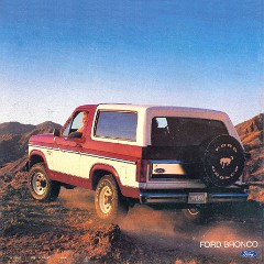 1985 Ford Bronco-16