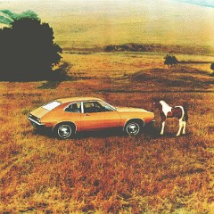 1971_Ford_Pinto-02