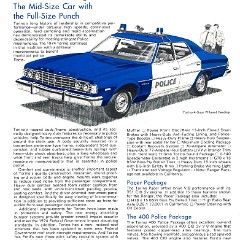 1974 Ford Police Cars-07