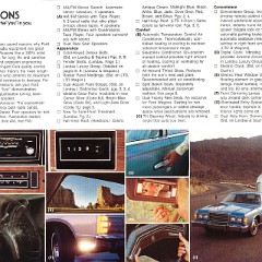 1978_Ford_LTD-10