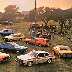 1980_Ford_Pinto-02-03
