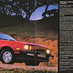 1980_Ford_Pinto-06-07