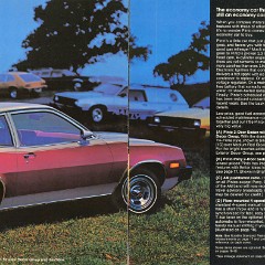 1980_Ford_Pinto-08-09
