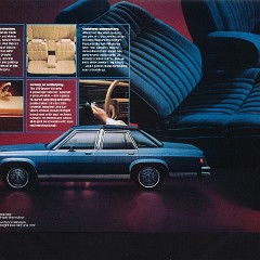1983_Ford_LTD_Crown_Victoria-04-05