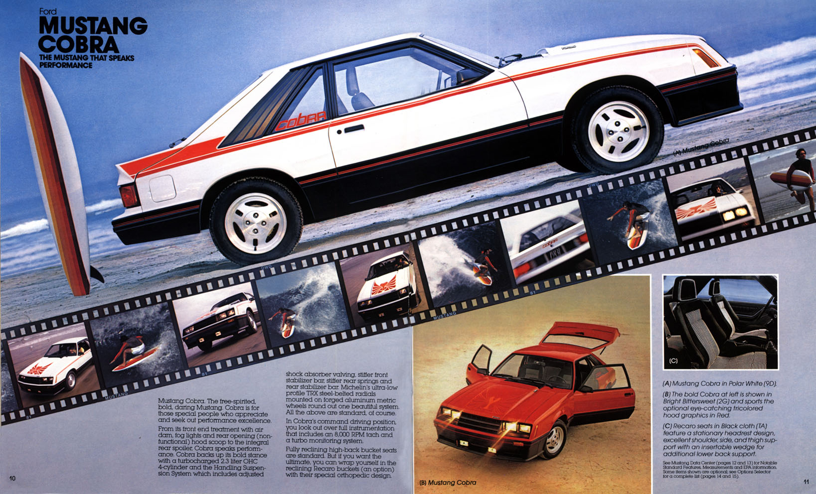 1981_Ford_Mustang-10-11